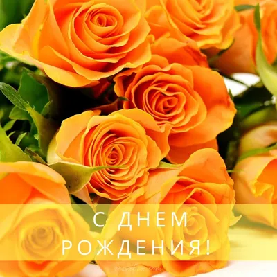 Коробки с цветами. Розы N41 - Доставкой цветов в Москве! 8669 товаров! Цены  от 487 руб. Цветы Тут