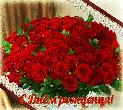 Красные розы: открытки с днем рождения - инстапик | Открытки, С днем  рождения, Цветы на рождение