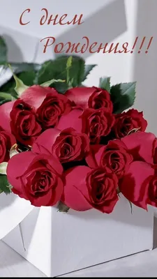 51 желтая роза в коробке за 10 390 руб. | Бесплатная доставка цветов по  Москве