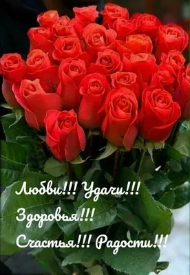 Pin by Лёля Galustyan on Добра и счастья | Happy birthday flower, Birthday  wishes flowers, Happy birthday pictures