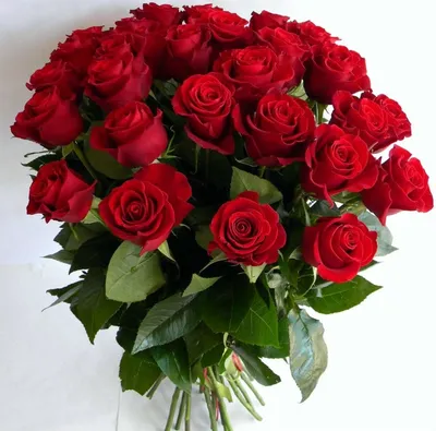 Букет \"День рождения\" с доставкой в Ржеве — Фло-Алло.Ру, свежие цветы с  бесплатной доставкой