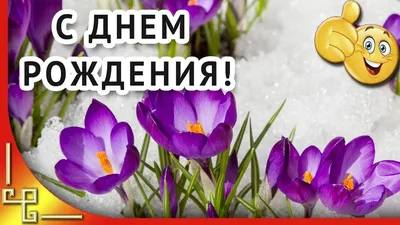 День рождения в МАРТЕ | Красивое поздравление с днем рождения в МАРТЕ  #Happy_birthday | С днем рождения, Открытки, День рождения