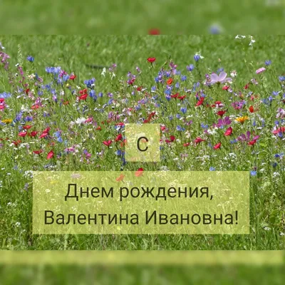 Открытки и картинки С Днём Рождения, Валентина Вячеславовна!