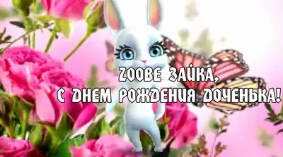 Zoobe Зайка, с днем рождения доченька! - YouTube | С днем рождения,  Поздравительные открытки, Рождение