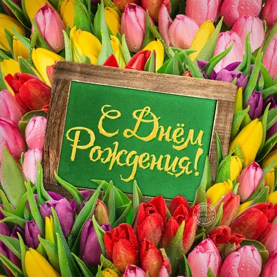 1️⃣ Купить желтые тюльпаны в коробке Алматы | Доставка Pro-buket