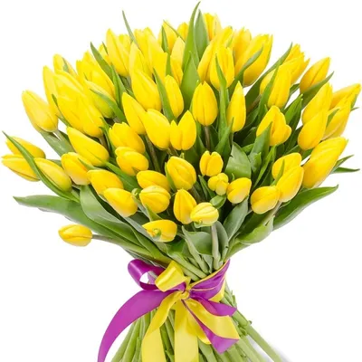 Желтые цветы с днем рождения картинки - 66 фото