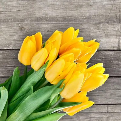 Весна всегда: букет желтых тюльпанов с синими ирисами по цене 7940 ₽ -  купить в RoseMarkt с доставкой по Санкт-Петербургу