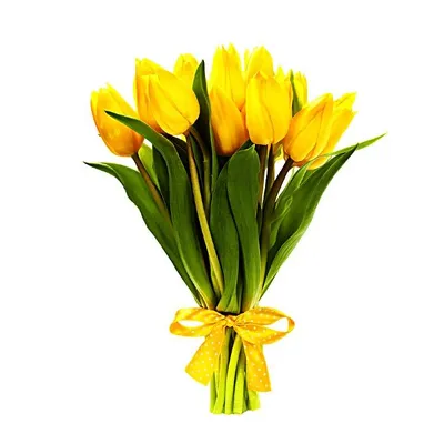 101 желтый тюльпан - купить в Москве по цене 12290 р - Magic Flower