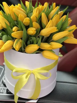 С днем рождения картинки с желтыми тюльпанами (45 фото) » Красивые  картинки, поздравления и пожелания - Lubok.club