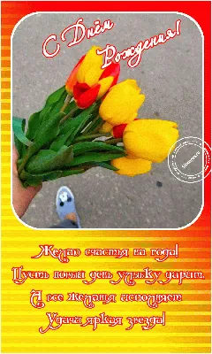Купить Букет ирисы и желтые тюльпаны «Ансамбль» в Москве недорого с  доставкой