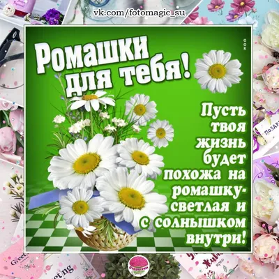 Красивые открытки с ромашками \"С днем рождения!\" 🌼💛 (31 шт.)