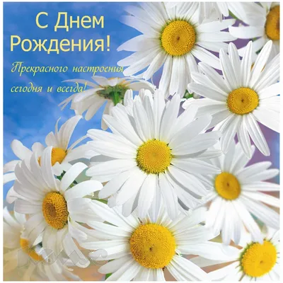 Красивые открытки с ромашками \"С днем рождения!\" 🌼💛 (31 шт.)