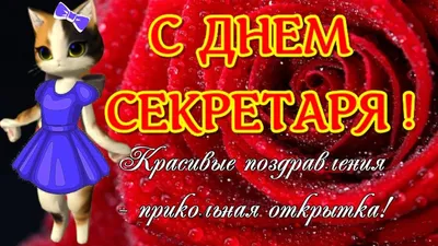 День секретаря отмечается в России | Общественно-политическая газета  Долгоруковского района