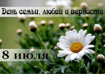 8 июля - День семьи, любви и верности » Государственная администрация  г.Бендеры