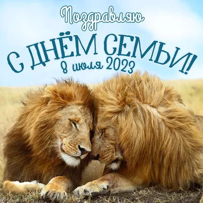 8 Июля - День Семьи, Любви и Верности | С Днем Рождения Открытки  Поздравления на День | ВКонтакте