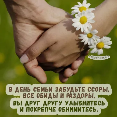 8 июля - Всероссийский День семьи, любви и верности!
