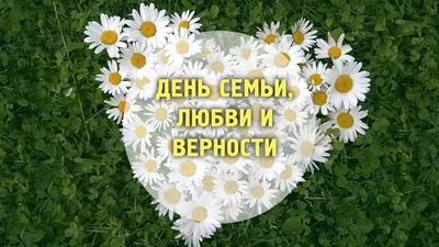 День семьи, любви и верности 2023, Дрожжановский район — дата и место  проведения, программа мероприятия.