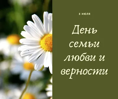 8 июля – День семьи, любви и верности