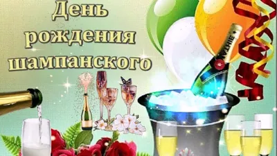 🥳 4 августа - день рождения шампанского! Всякий раз заботливые хозяева  стремятся разделить радость праздника вместе с четвероногим… | Instagram