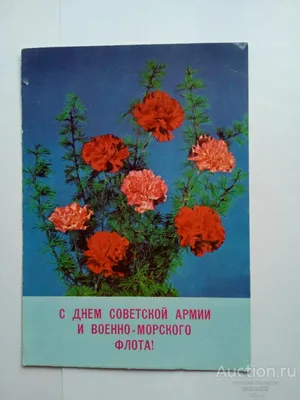 День защитника Отечества | Научно-образовательный центр \"Зондовая  микроскопия и нанотехнология\"