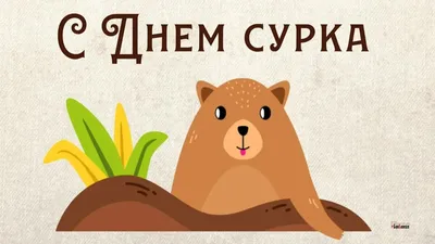 С Днем сурка! Оригинальные открытки и смешные стихи в праздник ожидания 2  февраля | Курьер.Среда | Дзен