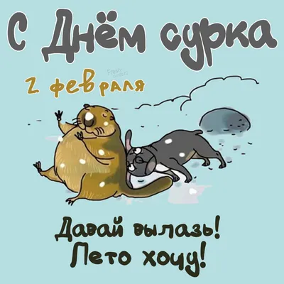 С днём сурка! | Пикабу