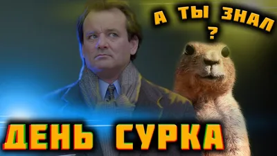 Поздравляем, мужики! Сегодня день Сурка