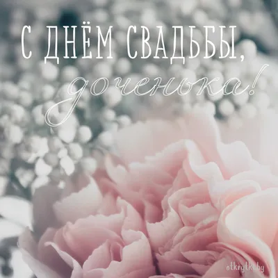 Поздравления со свадьбой дочери для мамы! Открытки маме невесты! Красивые  пожелания в прозе! Дорогая мама невесты! Свадьба вашей дорогой... |  Страница 8