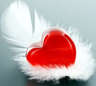 Картинки День святого Валентина Сердце Перья Праздники