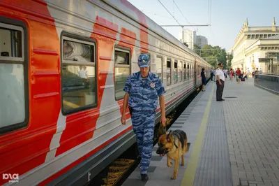 День транспортной полиции - Онлайн поздравления