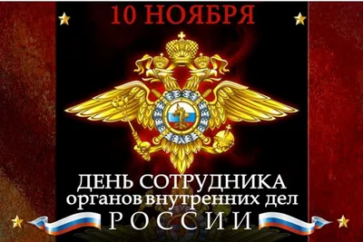 Главы МВД и СК поздравили ветеранов с Днем Победы - РИА Новости, 09.05.2021