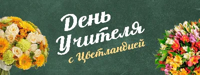 В День учителя. Красивые поздравления с праздником в стихах, прозе и СМС |  05.10.2023 | Барнаул - БезФормата