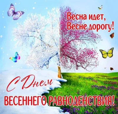 День весеннего равноденствия 2023: когда наступает, что означает, приметы -  vtomske.ru