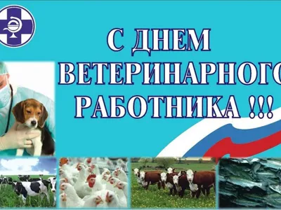 Яркое поздравление для ветеринара в профессиональным праздником, для тех,  кто изо дня в день заботится о братьях наших мень… | Ветеринар, Веселые  картинки, Праздник