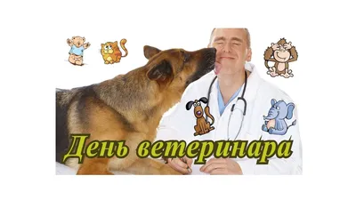 День ветеринара 2023 - открытки и поздравления с праздником — УНИАН