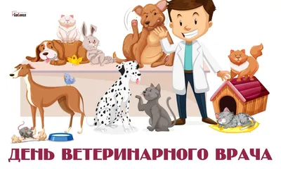 27 ноября на Кубани поздравляют работников ветеринарной службы