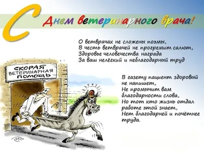 День работников ветеринарной медицины - поздравления в стихах, картинках —  УНИАН