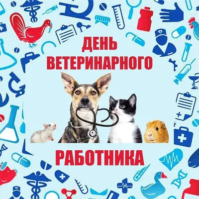 31 августа - день ветеринарного врача