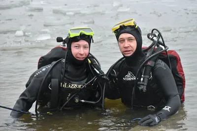 День водолаза — 5 мая 🐠 🎉День водолаза – профессиональный праздник  водолазов. В торжествах участвуют водолазы, производители… | Подводное  плавание, Туризм, Город