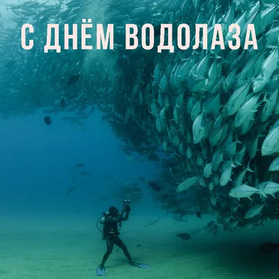 Сибирский региональный поисково-спасательный отряд МЧС России: 5 мая. День  водолаза!