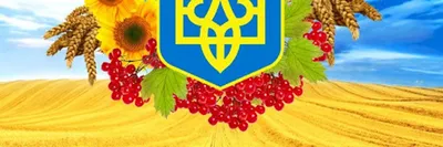 День защитника Украины: символизм праздника 14 октября для украинцев »  Слово и Дело
