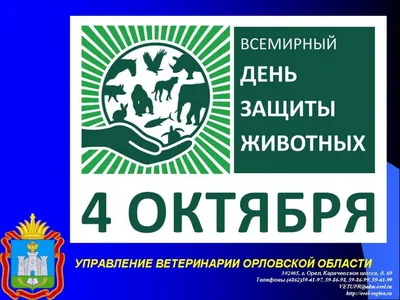 Всемирный День защиты животных - 16 Октября 2017 - МБОУ Писковская средняя  общеобразовательная школа