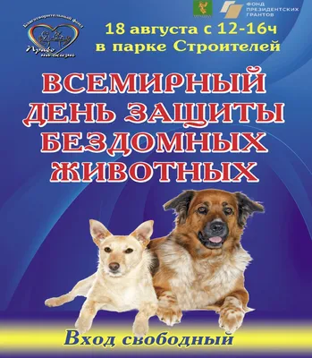 Всемирный день защиты животных - Новости - ГУДО \"Оршанский районный  эколого-биологический центр детей и молодёжи\"