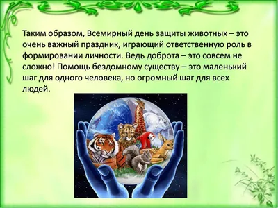 В мире отмечают День защиты животных — Вечерний Гродно