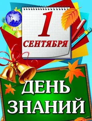 День знаний 1 сентября: лучшие, красивые и прикольные открытки с надписями  к празднику - МК Новосибирск