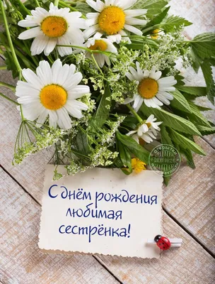 Поздравления с днем рождения сестре открытка — Slide-Life.ru