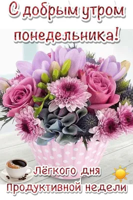 Пожелания хорошего дня в картинках, своими словами, в стихах, в смс и  христианские пожелания доброго дня — Украина