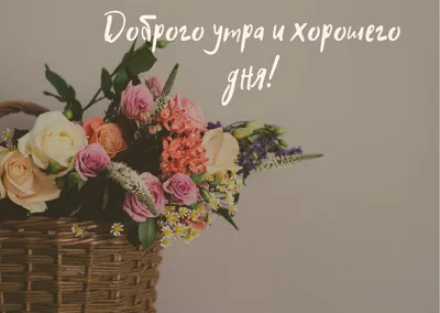 ДОБРЫЙ ВЕЧЕР. ПОЖЕЛАНИЯ ДОБРОГО ВЕЧЕРА. САМОГО СПОКОЙНОГО, ВОЛШЕБНОГО ВАМ  ВЕЧЕРА | Поздравления,открытки,пожелания | Дзен