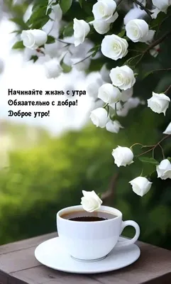 Открытки \"С добрым утром!\" (1216 шт.)