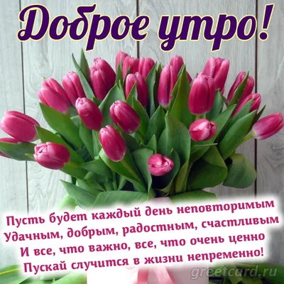 CXT - С добрым утром, днем и вечером тоже можно себе позволить. | Facebook